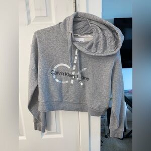 Calvin Klein Crop Hoodie
